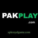 Pakplay Game