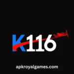 K116 Game